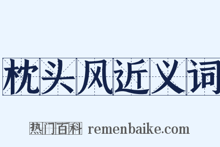 枕头风近义词是什么意思的图片